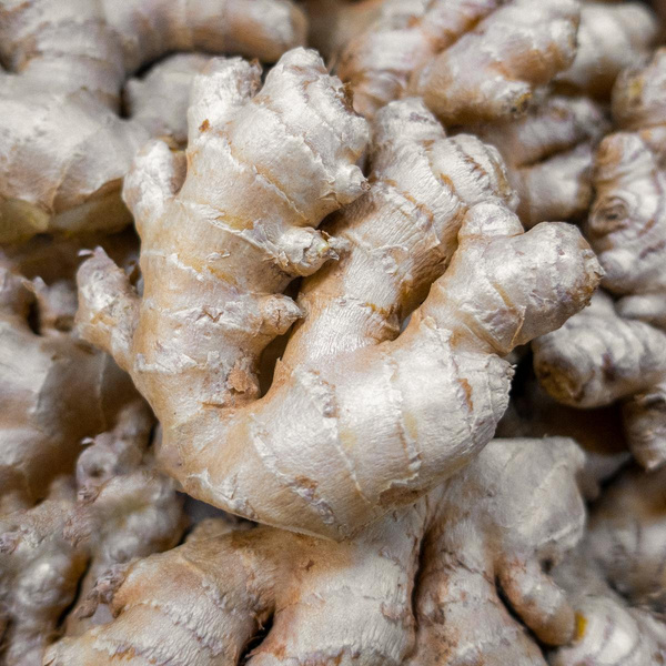 Produktfoto zu Ingwer