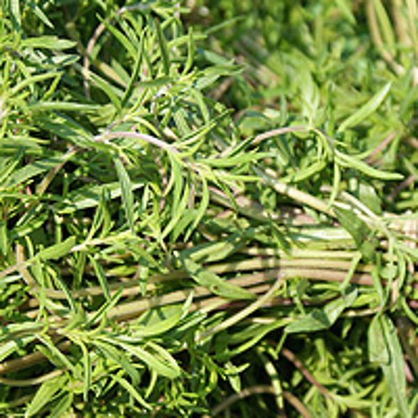 Produktfoto zu Bohnenkraut, frisch