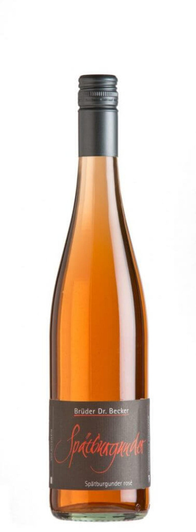 Produktfoto zu Spätburgunder rosé Gutswein 2024 Brüder Dr. Becker