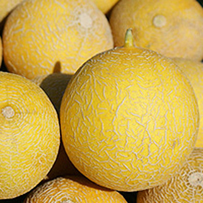 Produktfoto zu Honigmelone Galia, ca. 950g