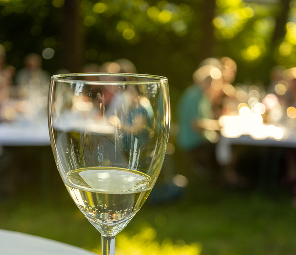 Kräuterwanderung in Dortmund Derne