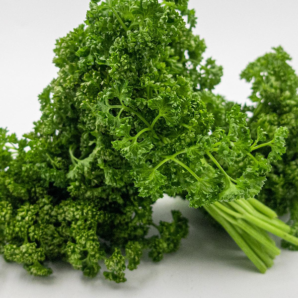 Produktfoto zu Petersilie, kraus