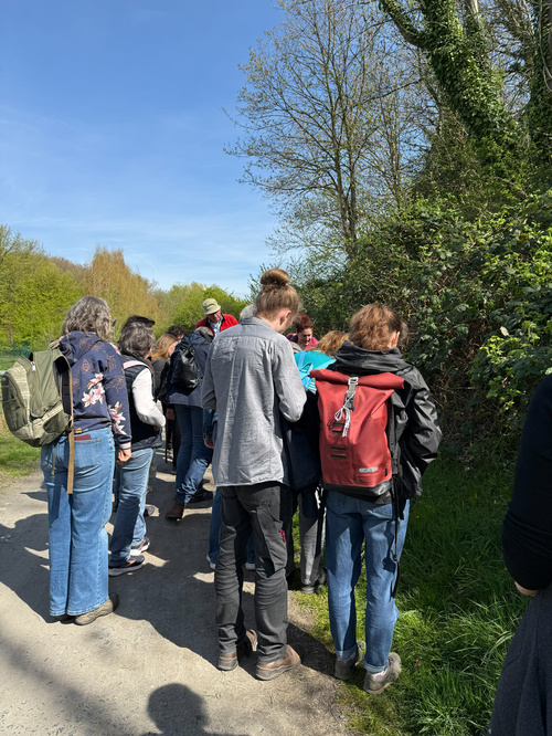 Kräuterwanderung