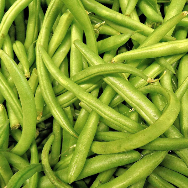 Produktfoto zu Buschbohnen