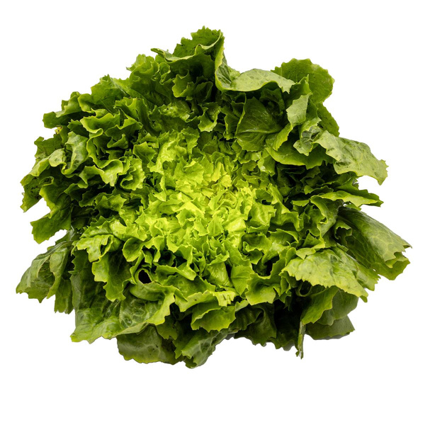 Produktfoto zu Endiviensalat 500g+