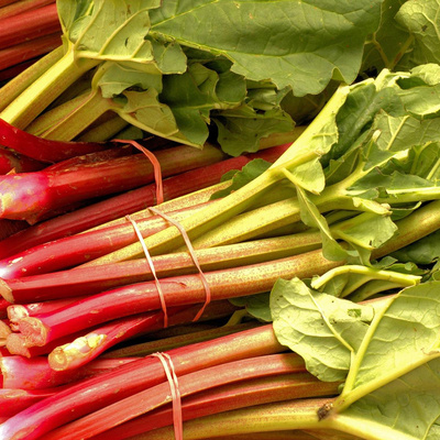 Produktfoto zu Rhabarber