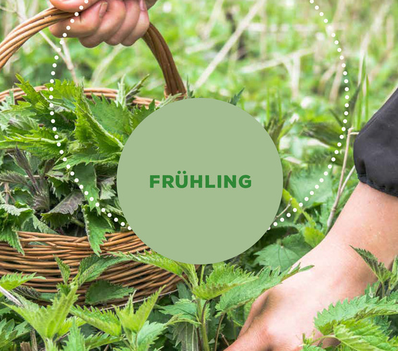 Kistenpost Frühling 2026