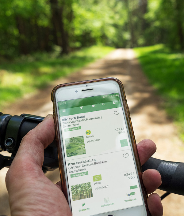 KI generiert: Person mit Handy beim Online-Shopping im Freien. Text: "Bärlauch Bund" und "Kresseschälchen".