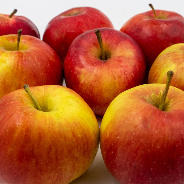 Produktfoto zu Apfel Idared