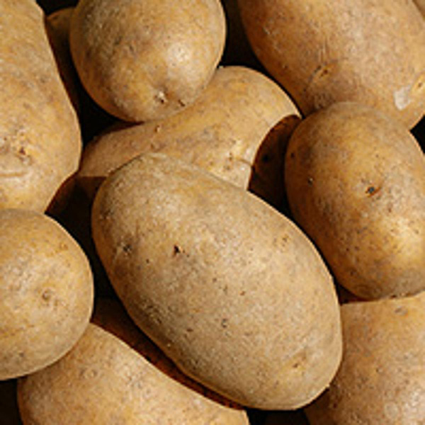 Produktfoto zu Frühkartoffel fk, 5 kg, Anuschka