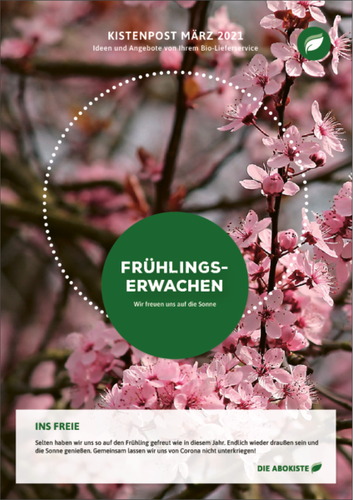 Kirschblüten