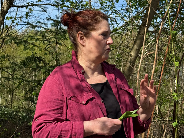 Kräuterwanderung