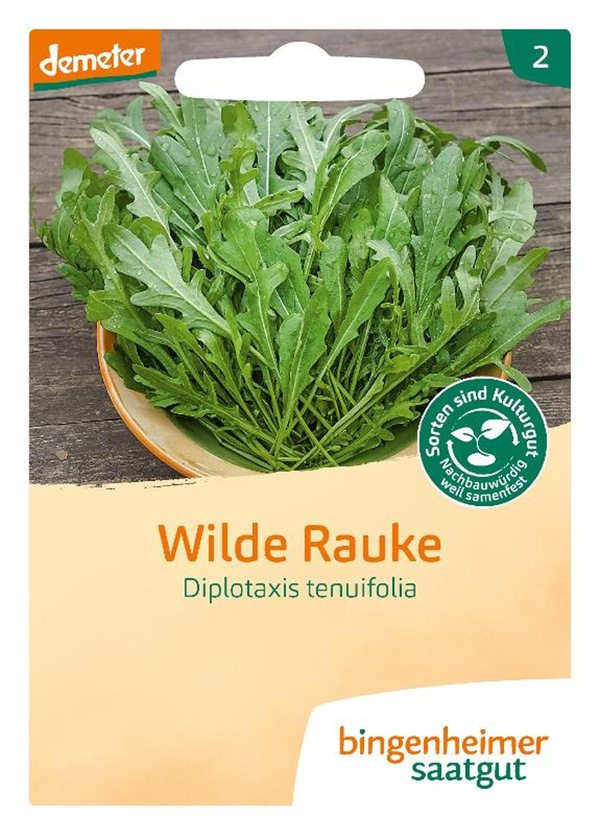 Produktfoto zu Salatrauke Rucola