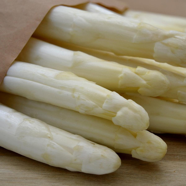 Produktfoto zu Spargel weiss 16+