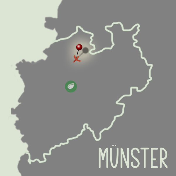 Münster