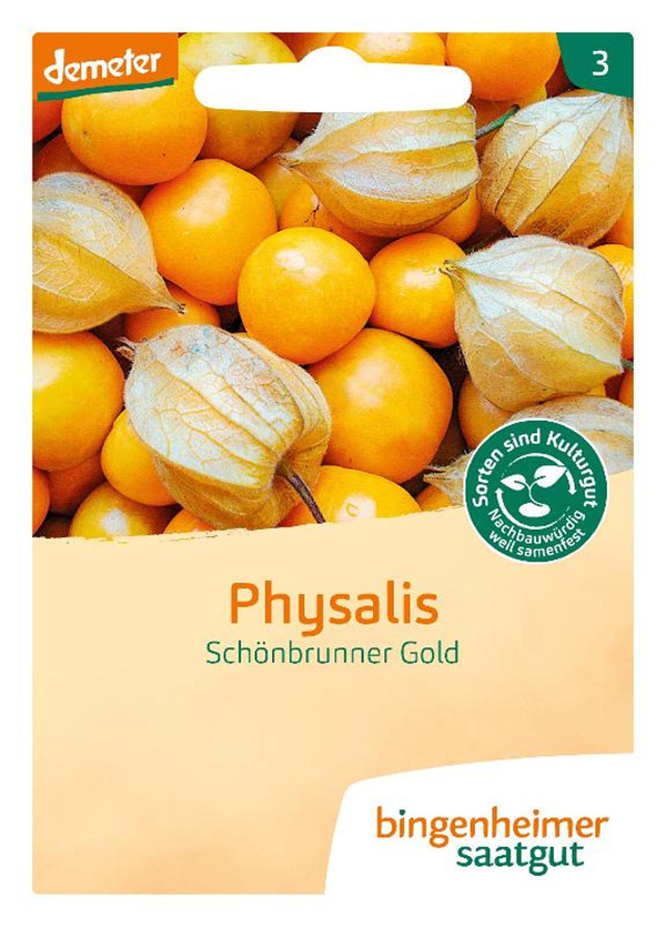Produktfoto zu Physalis Schönbrunner Gold