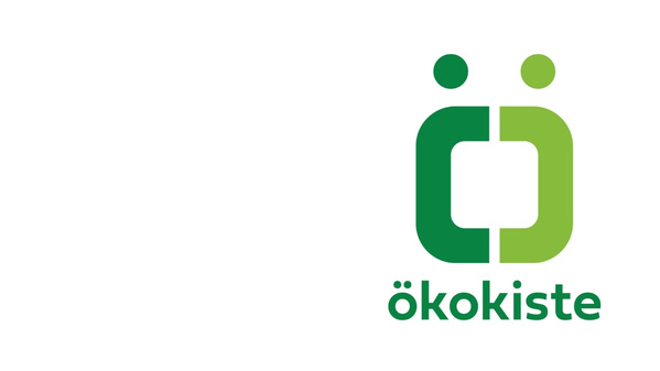 KI generiert: Logo mit grünem Symbol und Text "ökokiste".