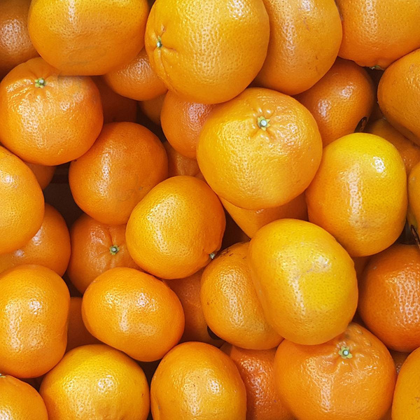 Produktfoto zu Clementinen