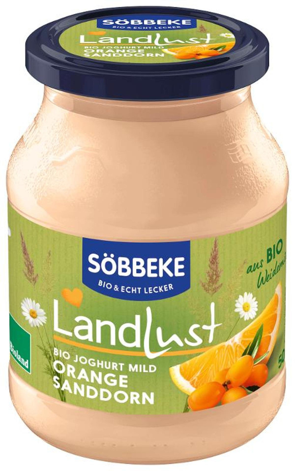 Produktfoto zu Joghurt Sanddorn-Orange 3,8%