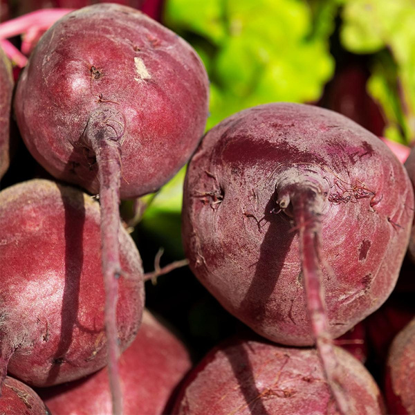 Produktfoto zu Dicke Rote Bete, Stück