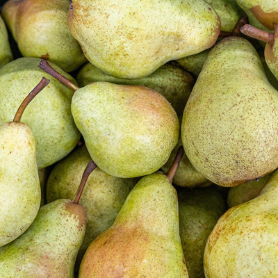 Produktfoto zu Birne Williams