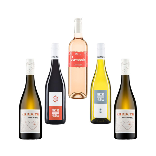 Produktfoto zu Weinpaket Frühlingsweine 2025