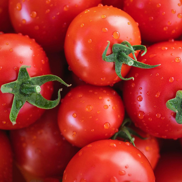 Produktfoto zu Tomaten, rund