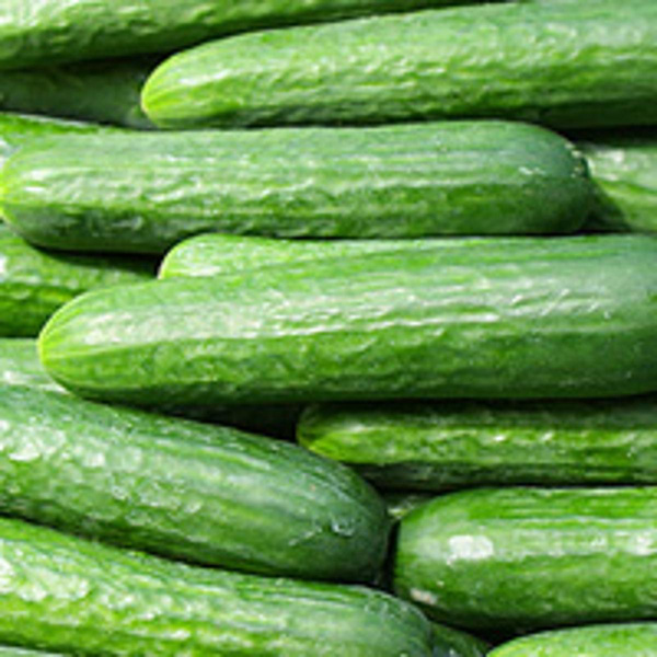 Produktfoto zu Mini Gurken, ca. 200g wenig