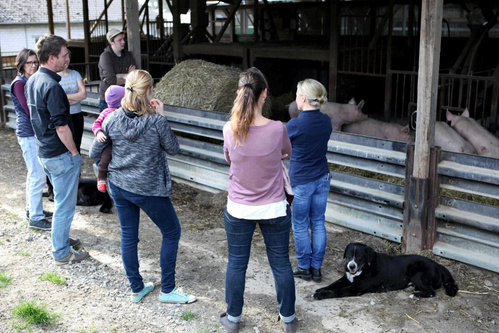 Mitarbeiter besichtigen Schweinestall