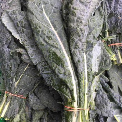 Produktfoto zu Schwarzkohl