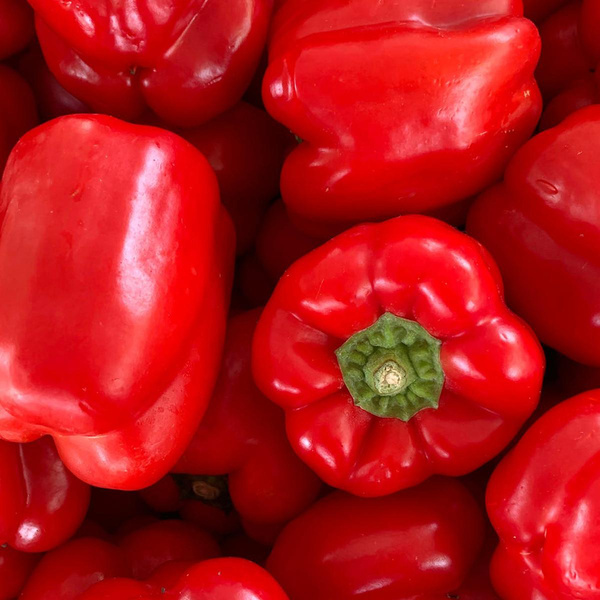 Produktfoto zu Paprika rot, SPANIEN