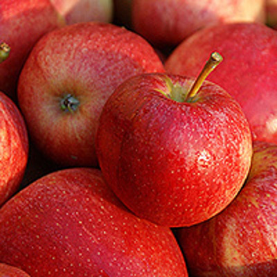 Produktfoto zu Apfel der Saison