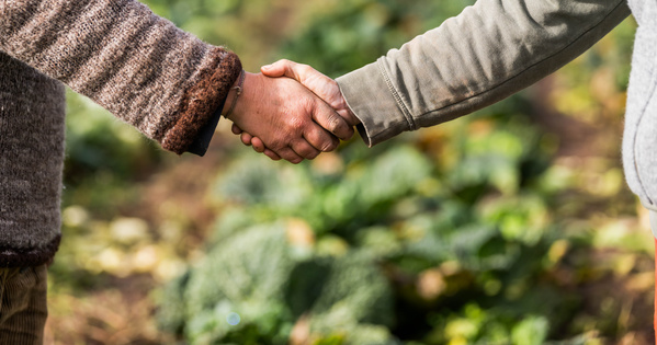 Wirtschaften mit Herz - AboKiste