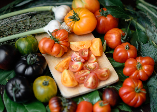 historische Tomatensorten aus der Gärtnerei