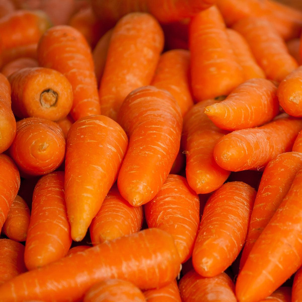 Produktfoto zu Möhren, 10kg