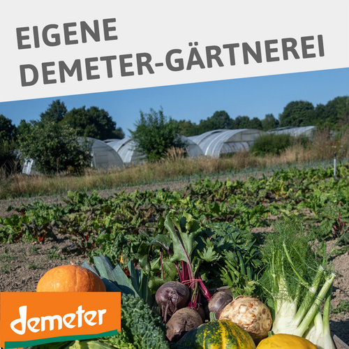 Unsere Demeter-Gärtnerei