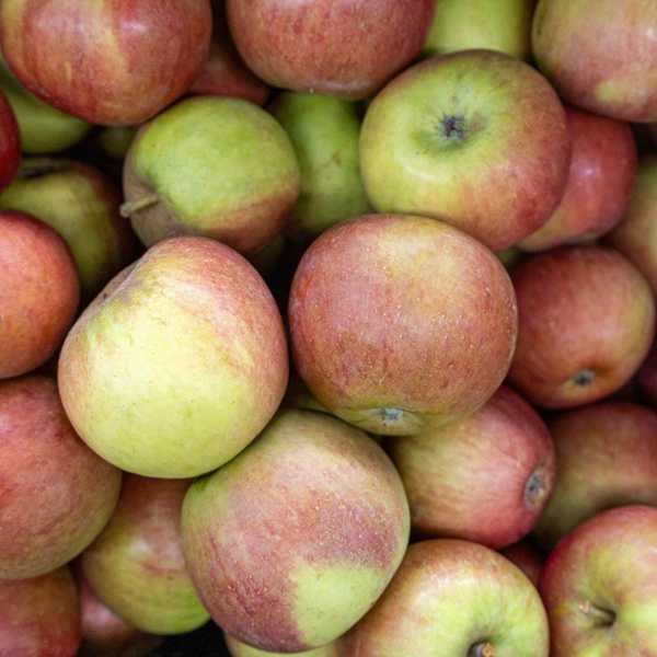 Produktfoto zu Apfel Cox Orange