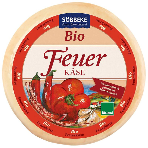 Produktfoto zu Feuerkäse 50% Fett