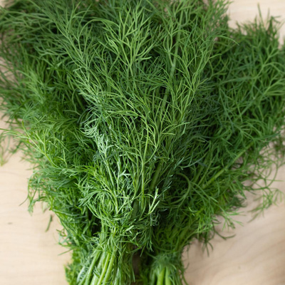 Produktfoto zu Dill