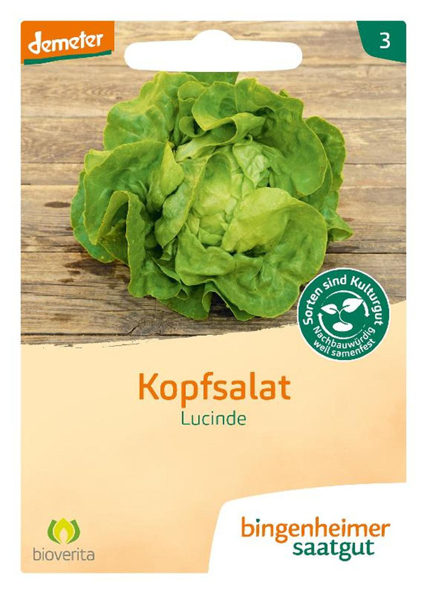 Produktfoto zu Kopfsalat Lucinde Saatgut