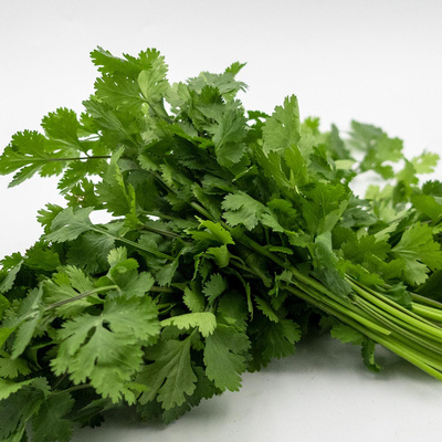 Produktfoto zu Koriander, Bund