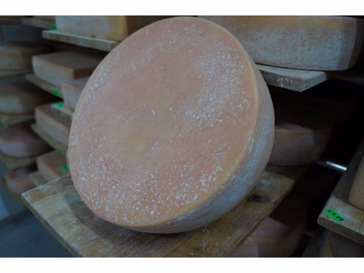 Produktfoto zu Ostenfelder Deichgraf 50%