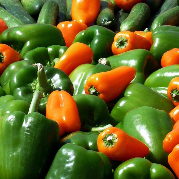 Produktfoto zu Paprika bunt Mix
