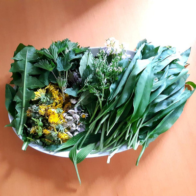 Produktfoto zu Kräuterwanderung am 11. April