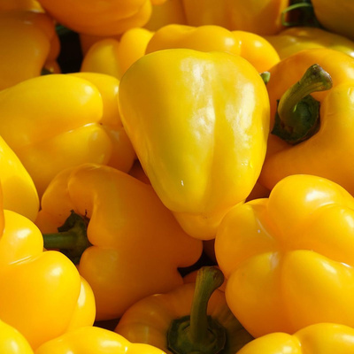 Produktfoto zu Paprika gelb