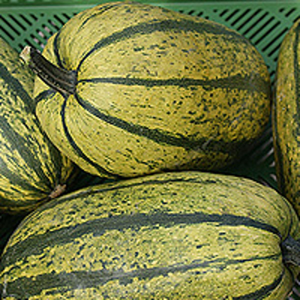 Produktfoto zu Kürbis Spaghetti, 800g