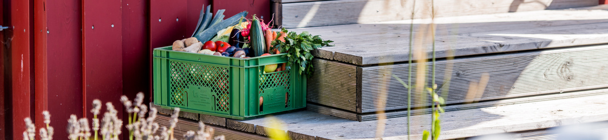 KI generiert: Ein grüner Korb voller frischem Gemüse steht auf Holztreppen.