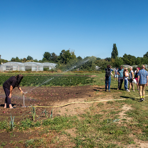 Gärtnerei Beregnung
