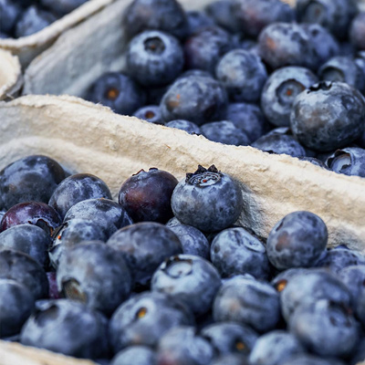 Produktfoto zu Heidelbeeren 125g
