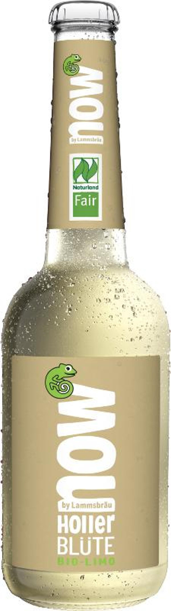 Produktfoto zu now Holunderblüte 0,33l